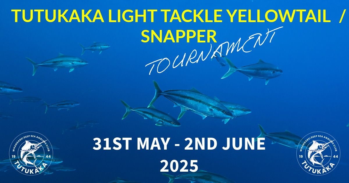 TUTUKAKA LIGHT TACKLE YELLOWTAIL \/ SNAPPER TOURNAMENT 