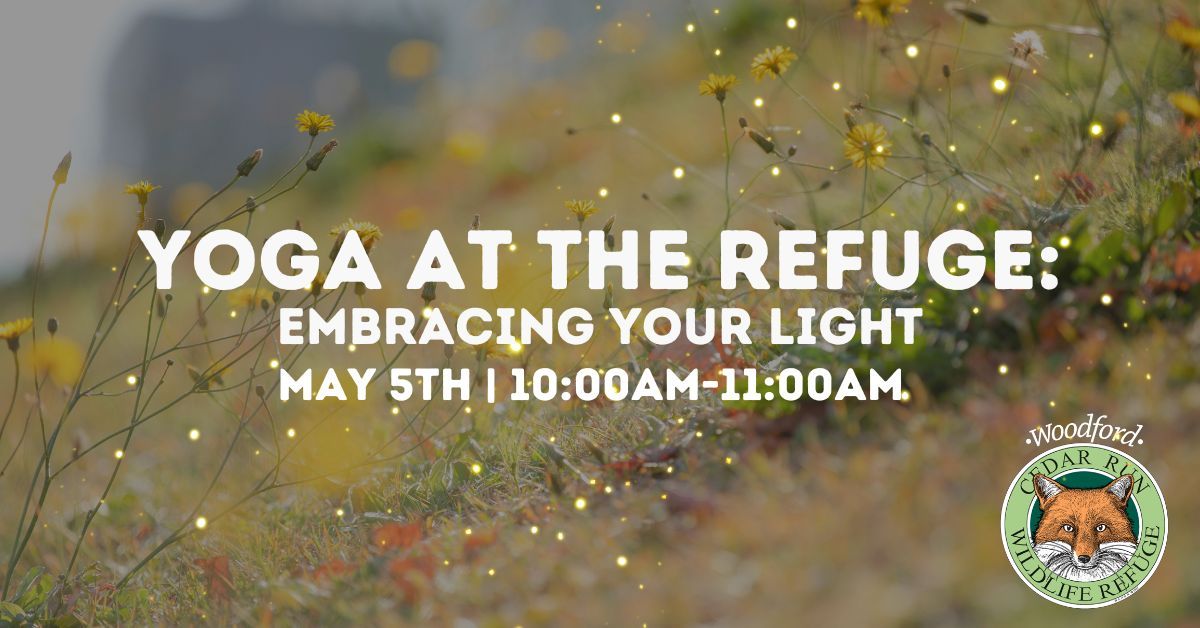 Yoga at the Refuge: Embracing Your Light