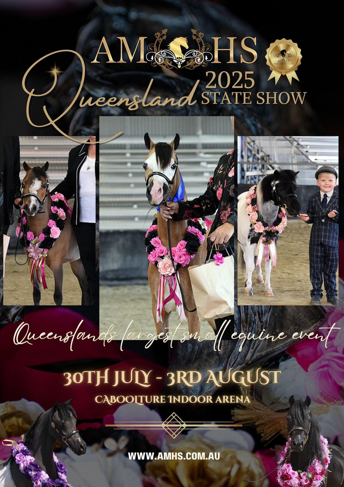 2025 AMHS QUEENSLAND STATE CHAMPIONSHIP SHOW