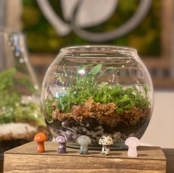 Build a Terrarium Workshop, Boo-rariums!