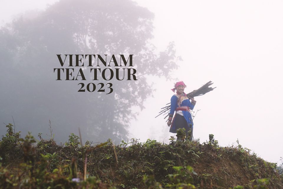 Vietnam Tea Tour 2023 April