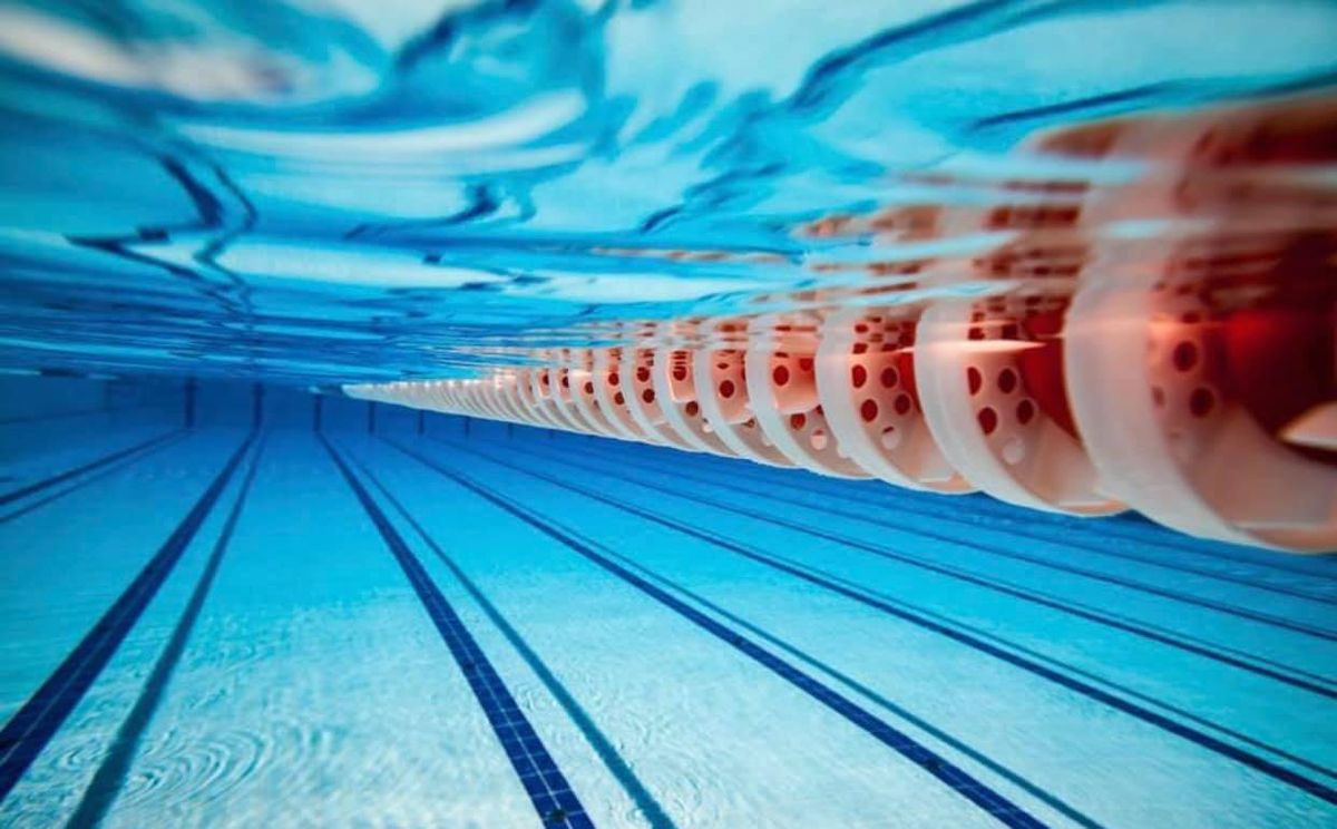 Shark's Cup Swimming Masters 10th Edition Romania Ploiesti