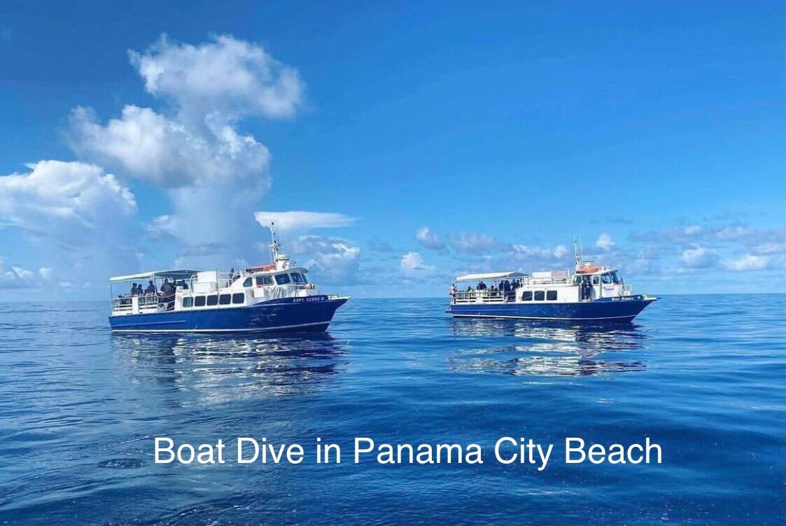 PANAMA CITY BOAT DIVE