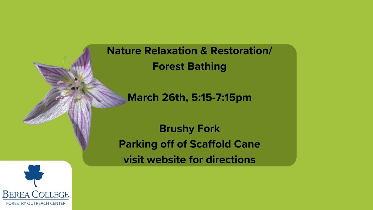 Nature R&R\/Forest Bathing at Brushy Fork