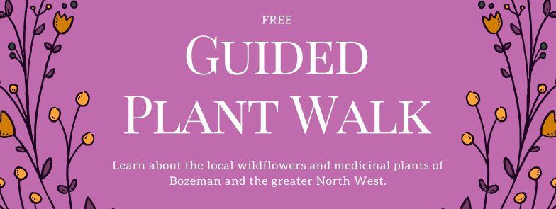Guided Plant Walk