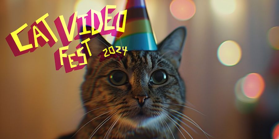 Cat Video Fest