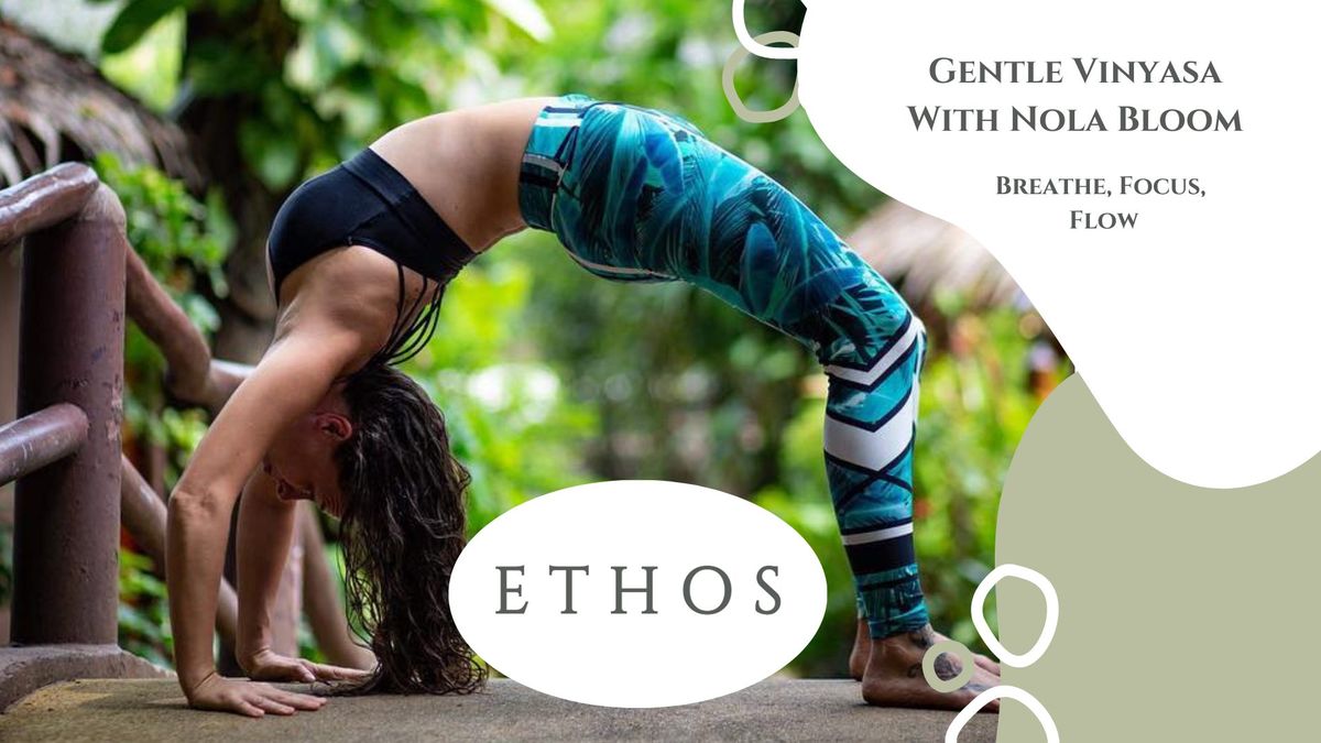 Gentle Vinyasa Flow