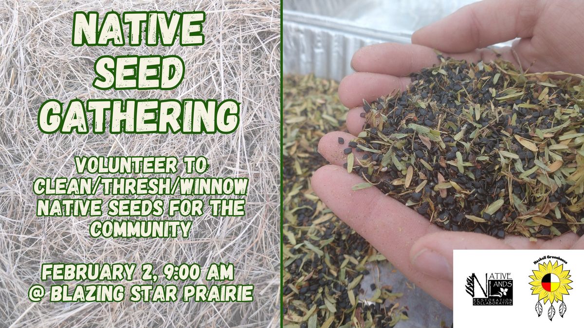 Community Native Seed Cleaning at Blazing Star Prairie