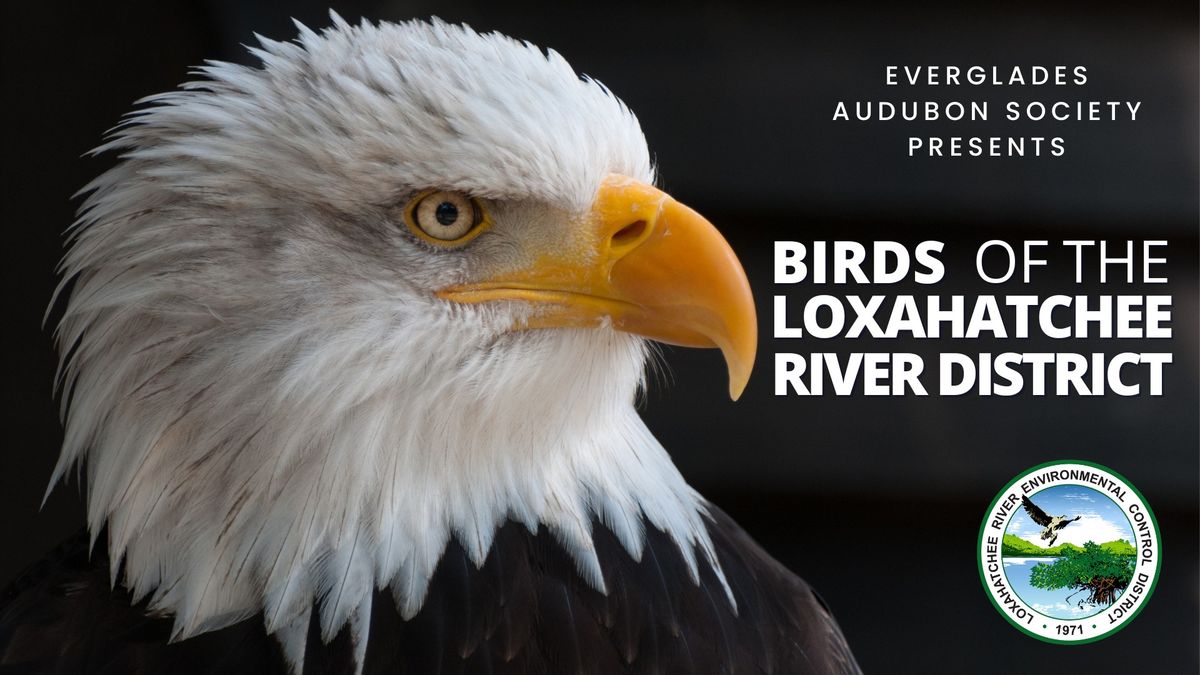 Birds of the Loxahatchee River District