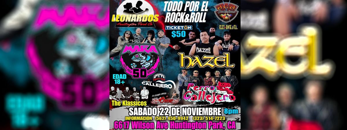 HAZEL, MARA,PERRO CALLEJERO Y MAS 