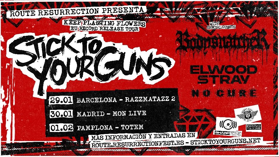 Route Resurrection: Stick To Your Guns (Madrid, 2025)