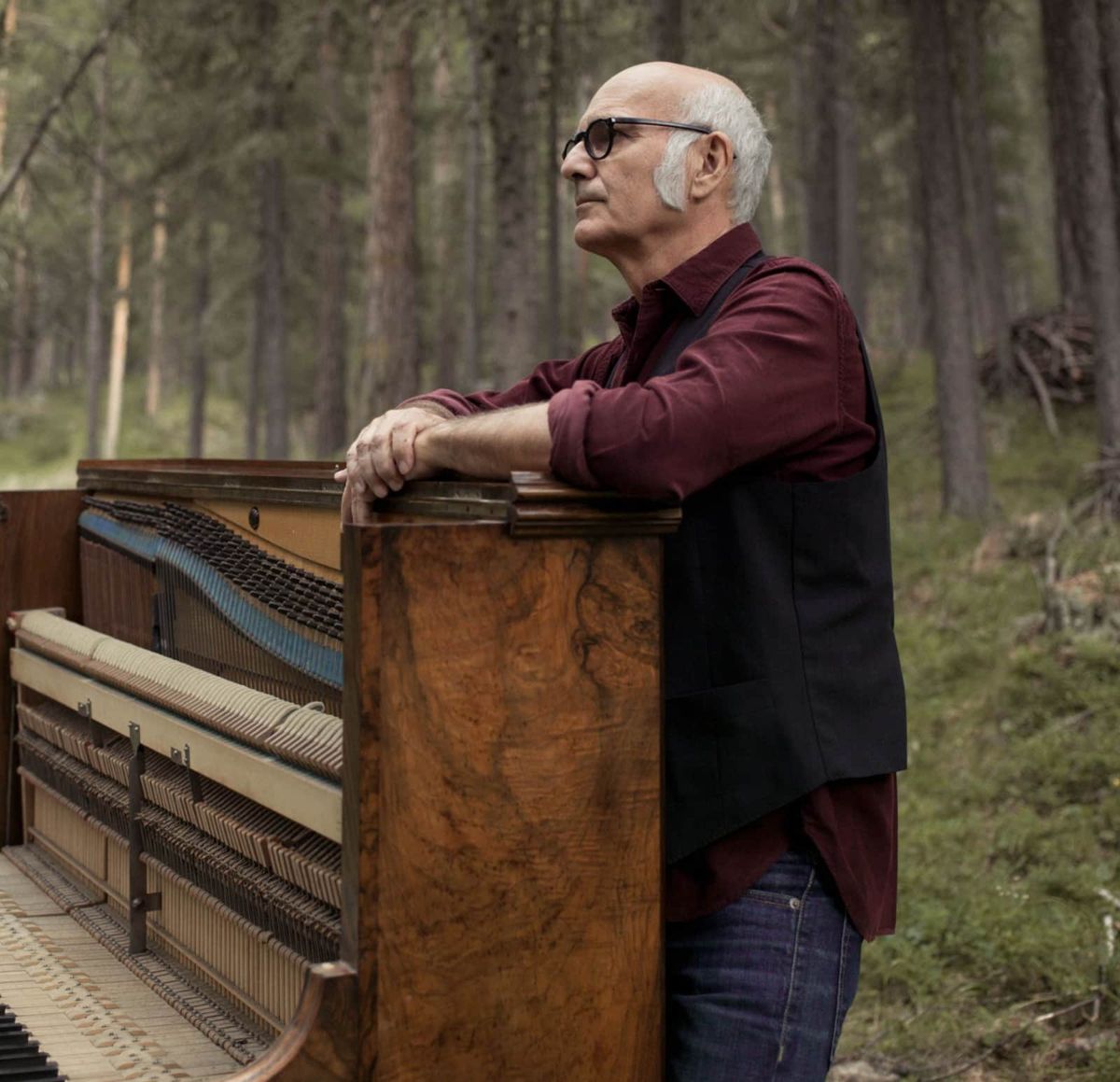 Ludovico Einaudi Bremen Tickets