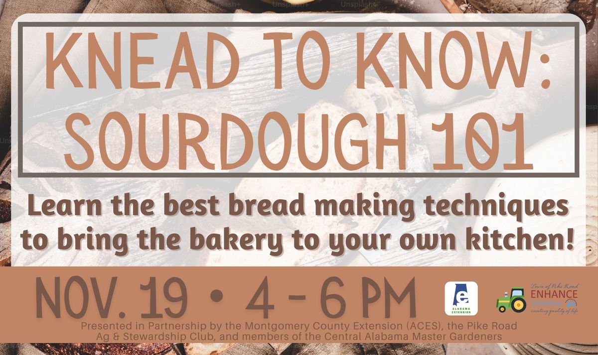 KNEAD To Know: Sourdough 101