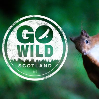 Go Wild Scotland