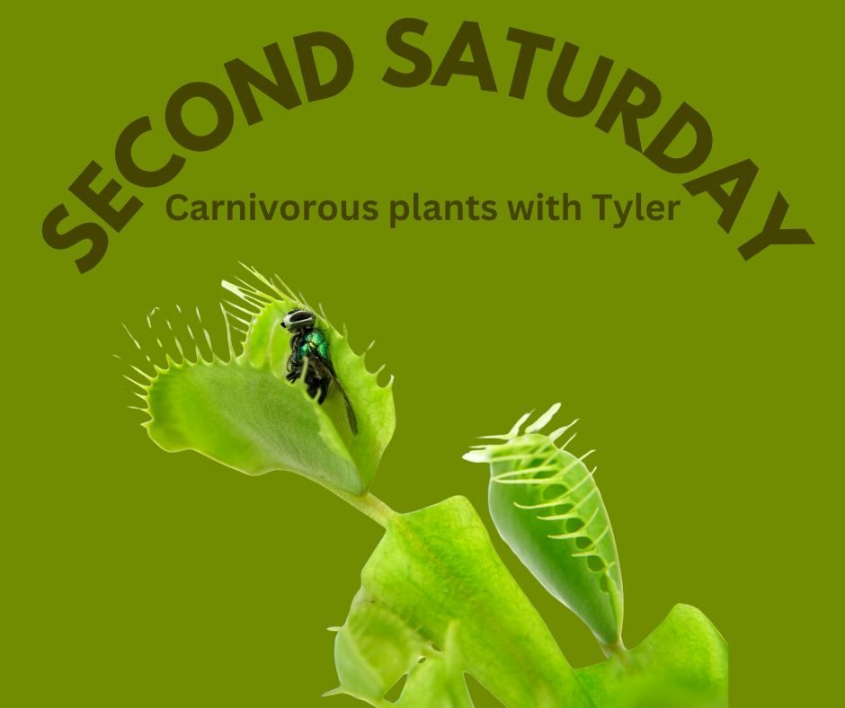 Second Saturday: Carnivorous Plants 