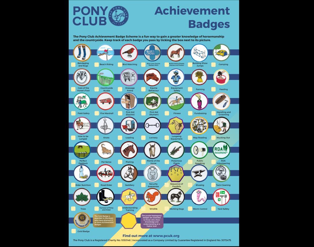 Pony Club badge session