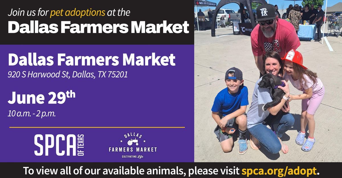 Pet Adoptions at Dallas Farmers Market
