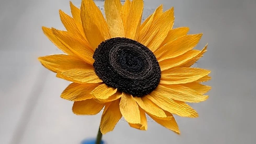Learn how to make crepe paper sunflower