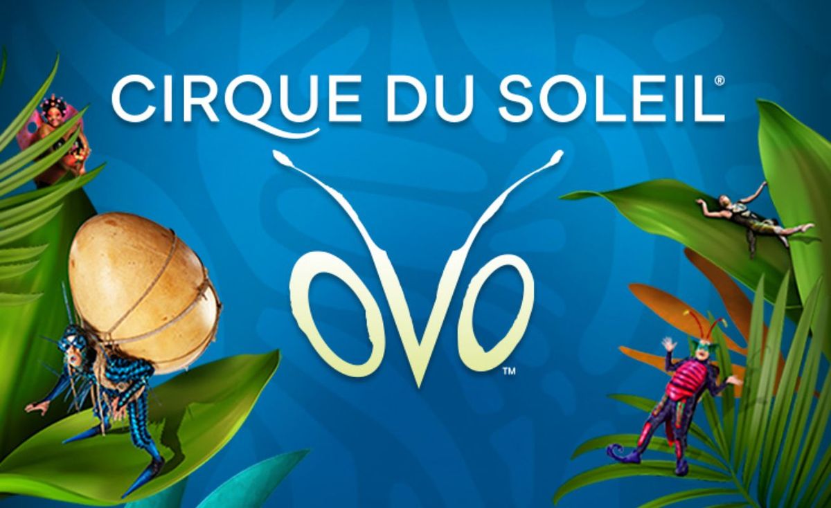 Cirque du Soleil: OVO