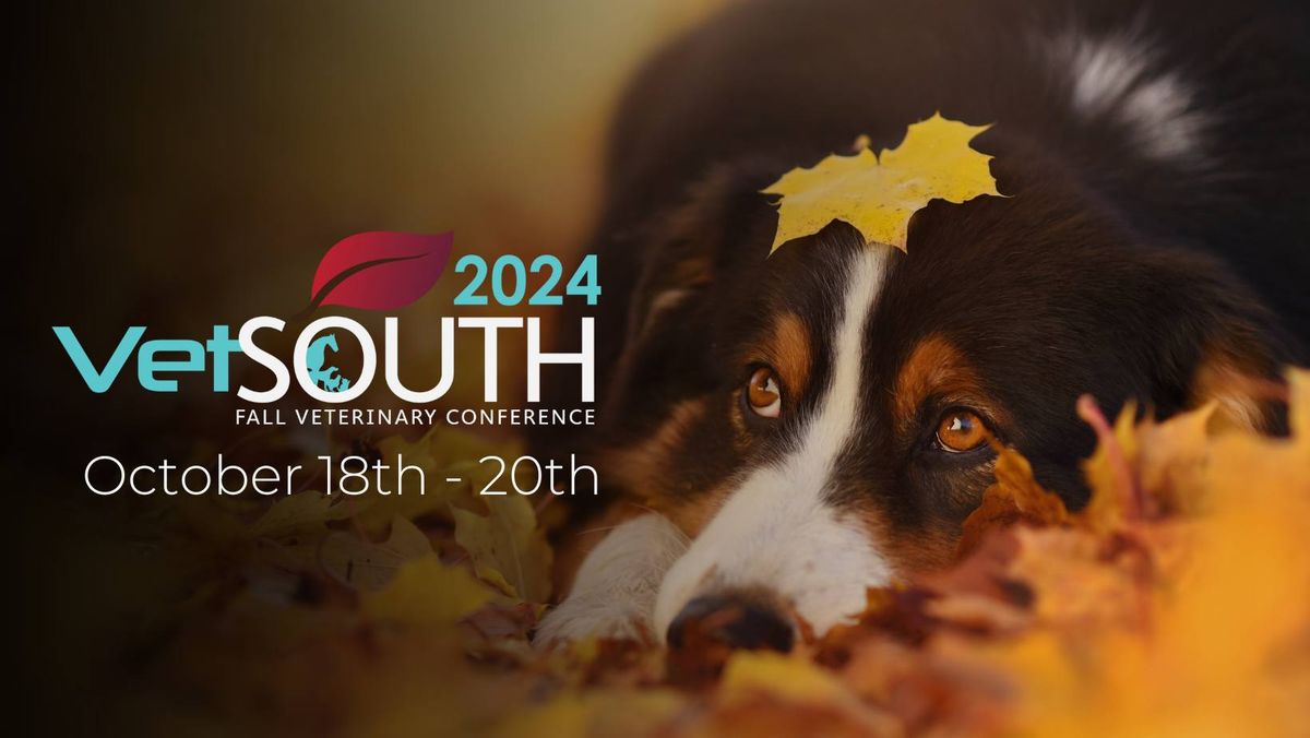 VetSouth Fall Conference 2024