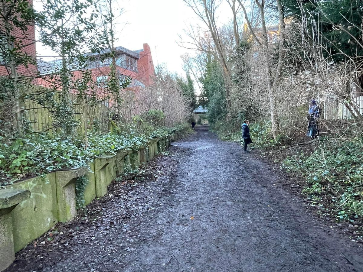 2025 - New Year\u2019s Railway Path Cleanup 