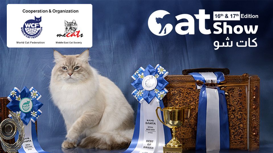 Cat Show