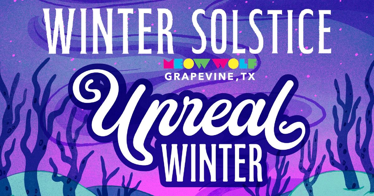  Winter Solstice at Meow Wolf!