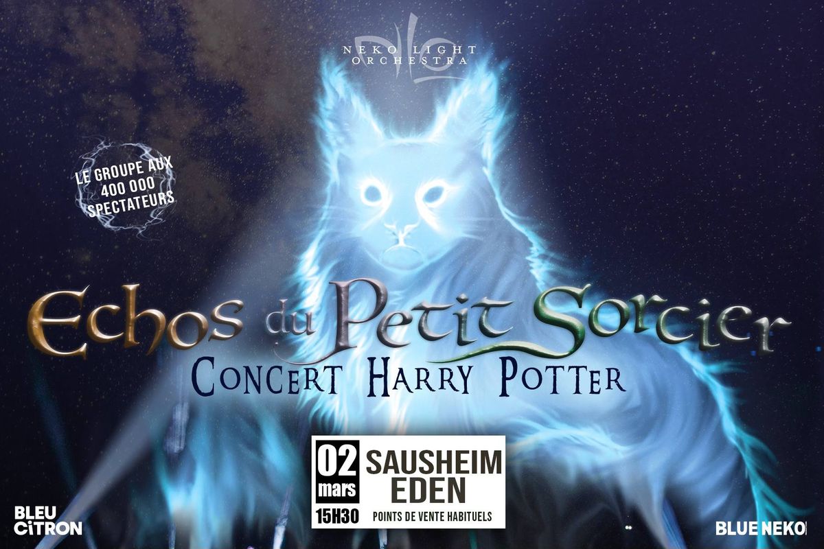 02.03.2025 I NEKO LIGTH ORCHESTRA \u2018ECHOS DU PETIT SORCIER\u2019 - L\u2019ED&N, SAUSHEIM