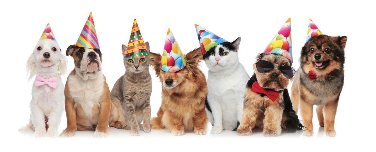 Party 4 Paws Pet Fair