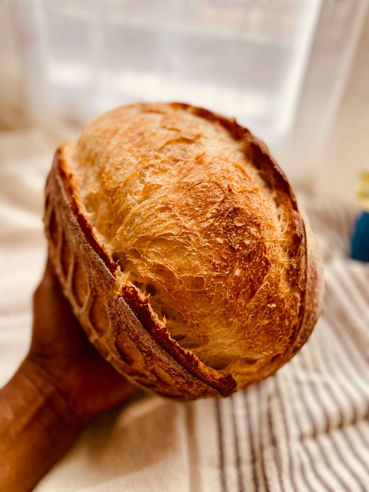 Sourdough Bread Pop Up