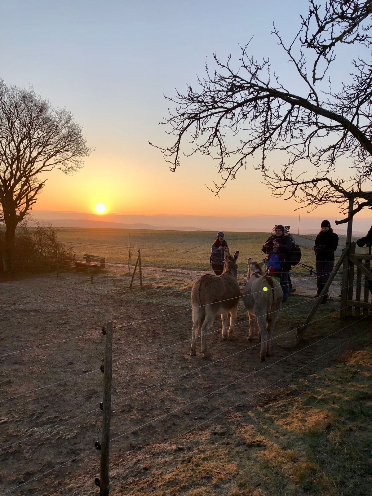 Sonnenaufgangs-Wanderung durch das romantische Elztal mit anschl Fr\u00fchst\u00fcck in Susannes Schokol\u00e4dchen