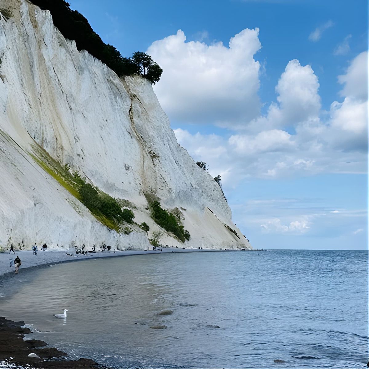 M\u00f8ns klint and The Forest tower - A day tour from Copenhagen