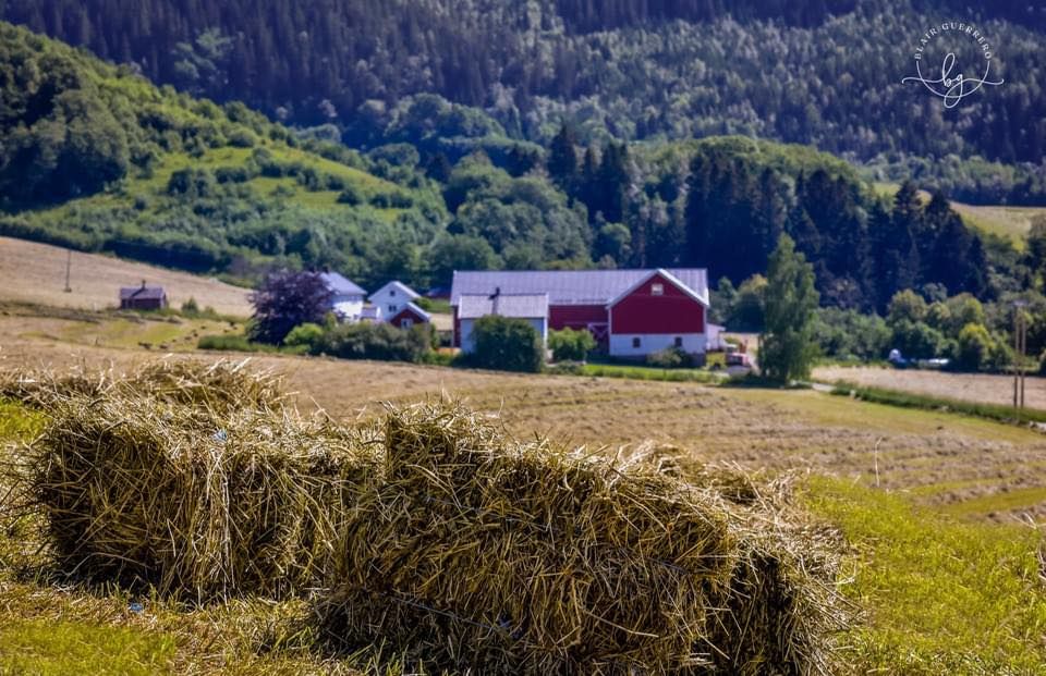 Adventstreff med lefsebakst \u2b50\ufe0f