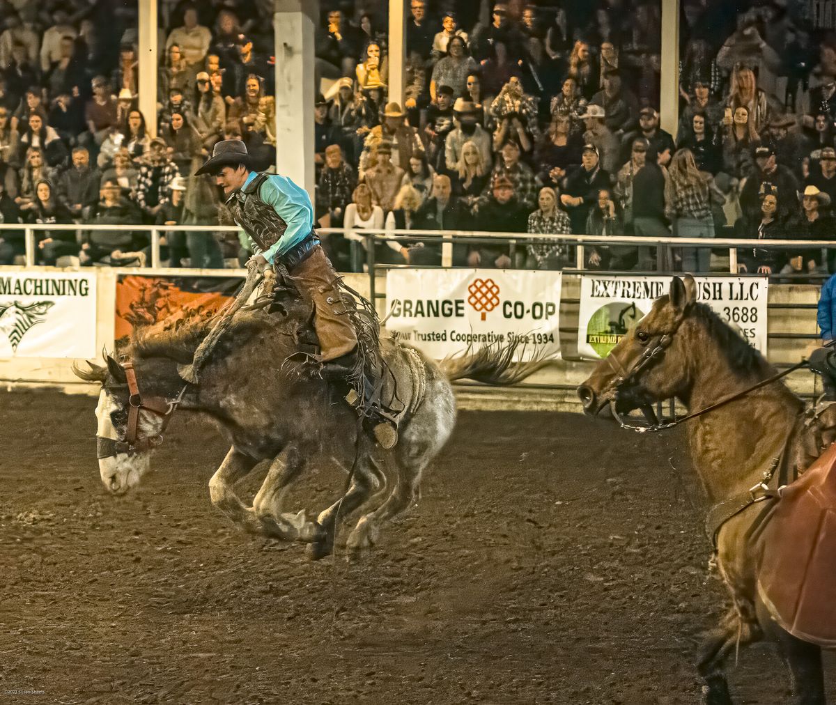 12TH Annual Rogue Valley Rough Stock Rodeo 