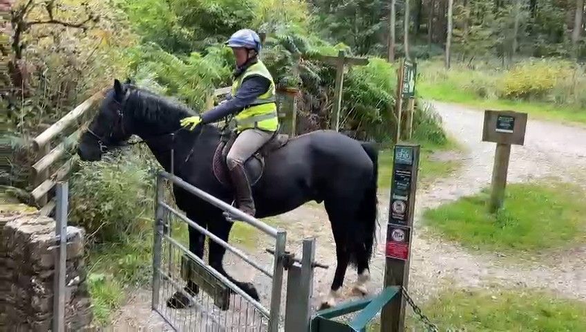 Gate Training on Hobb's Trail