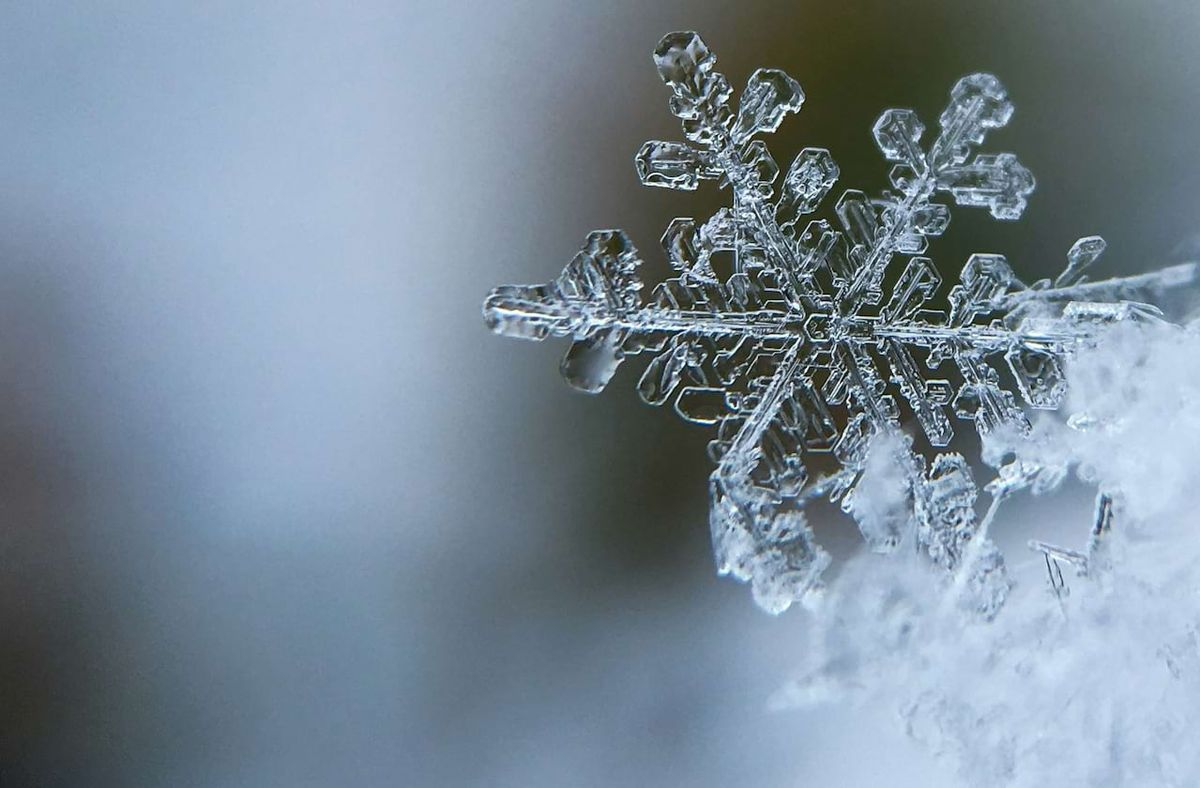 The Snow Queen - Edmonds