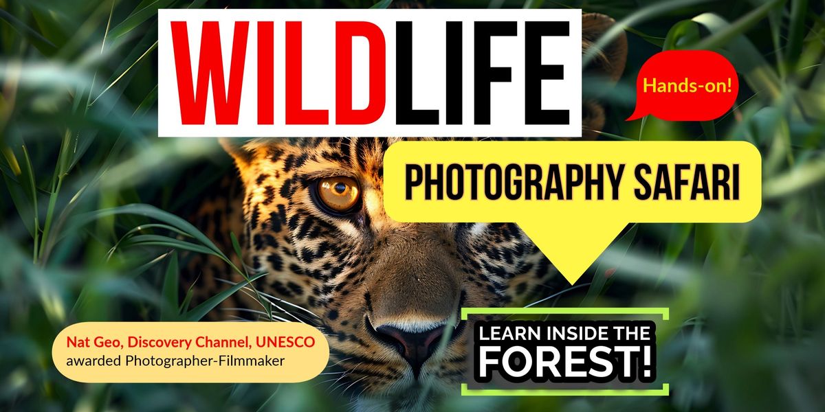 Wildlife Photography Safari - Jhalana Leopards