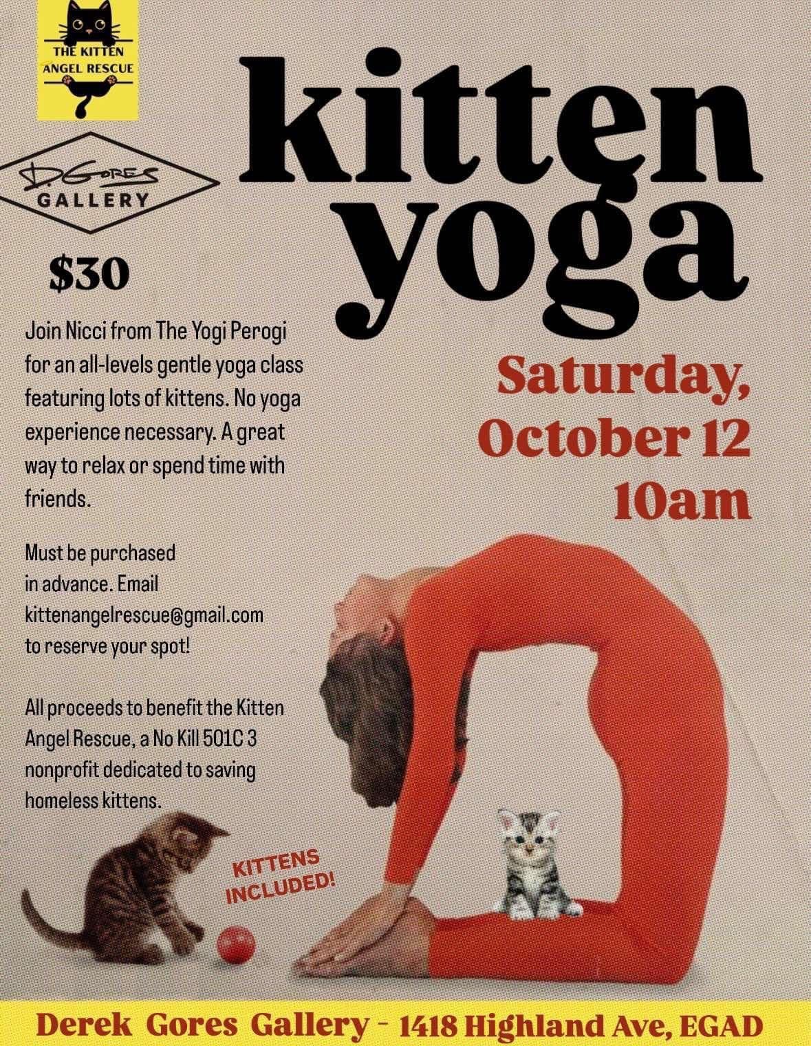 Kitten Yoga