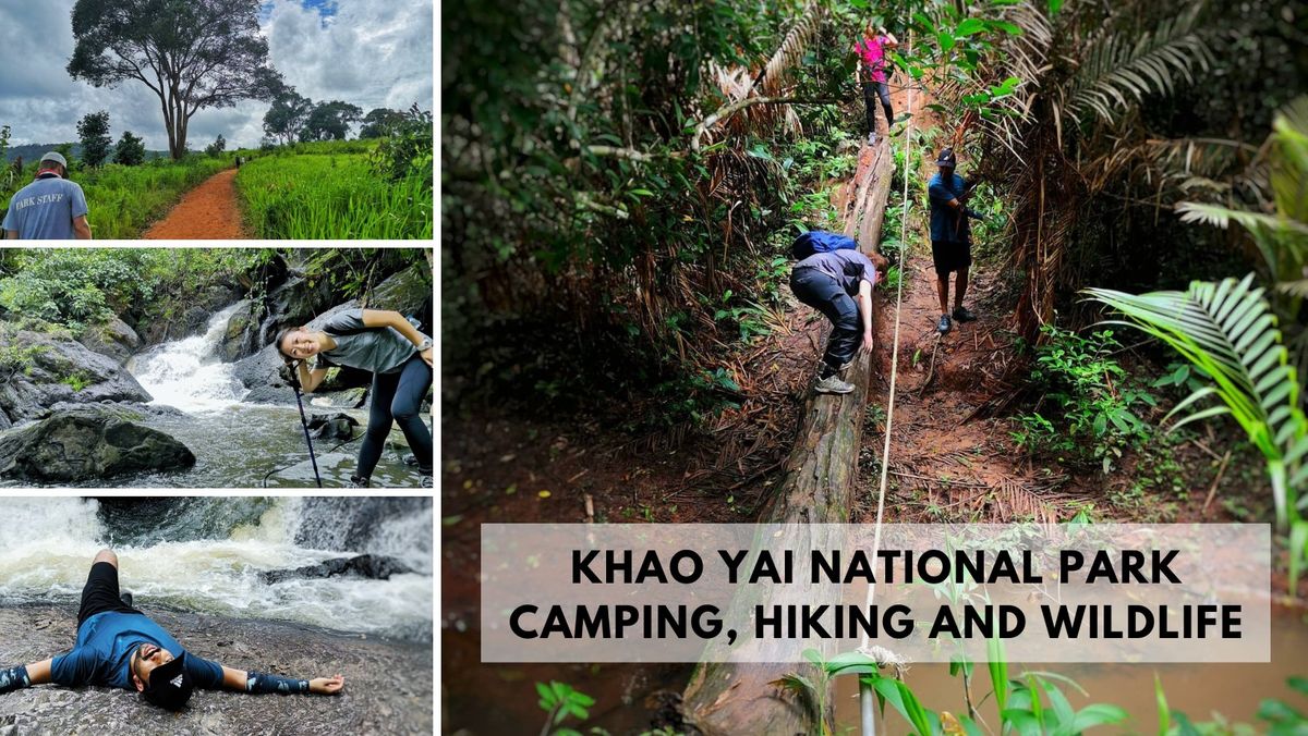 Khao Yai National Park: Camping, Hiking and Wildlife