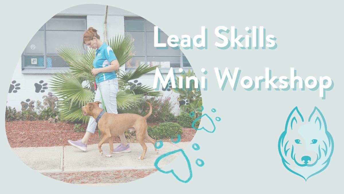 Lead Skills Mini Workshop