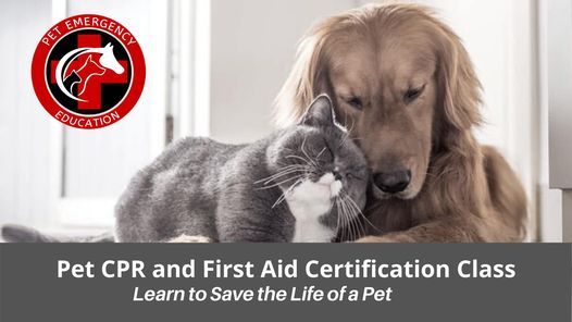 Pet CPR and First Aid Certification class Flower Mound, TX