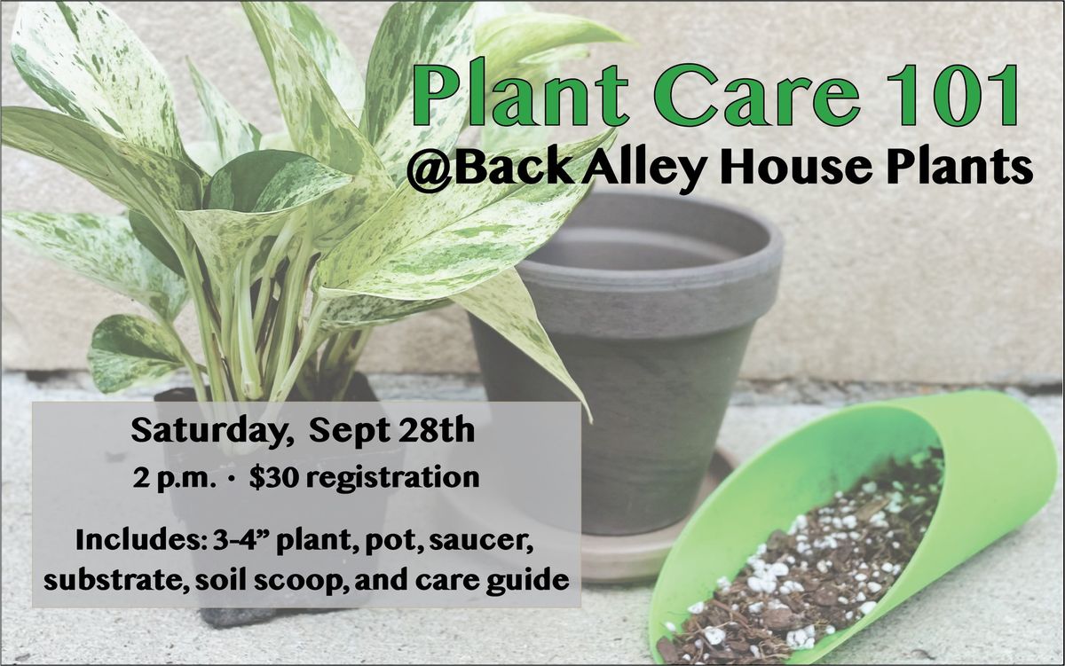 Plant Care 101 - September