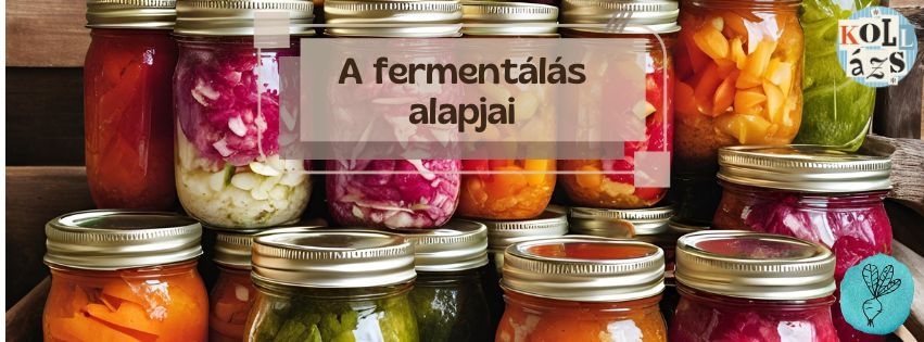 A ferment\u00e1l\u00e1s alapjai