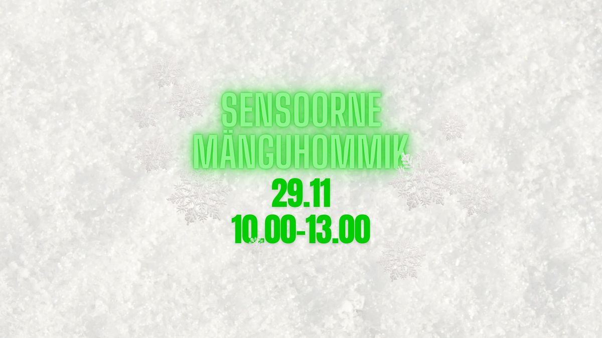 M\u00e4nguhommik - SENSOORNE M\u00d6LL (valge\/lumi\/j\u00e4\u00e4)