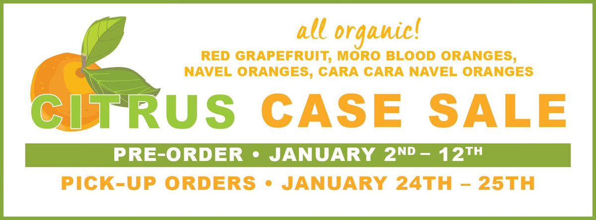 Citrus Case Sale