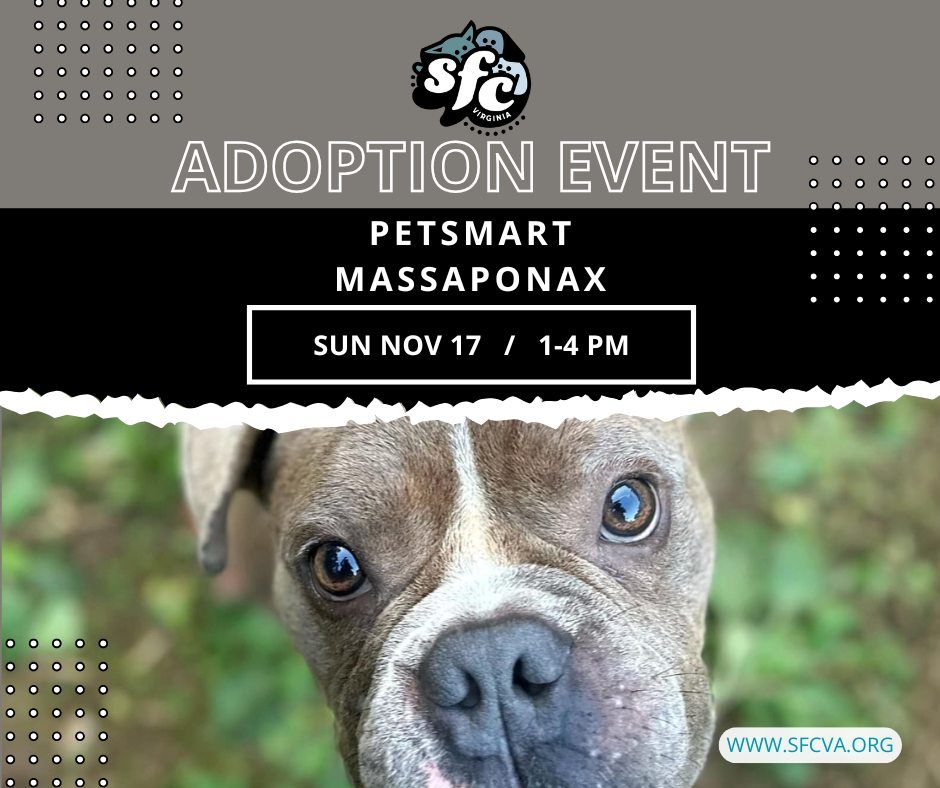 11\/17 Adoption Event at Petsmart Massaponax