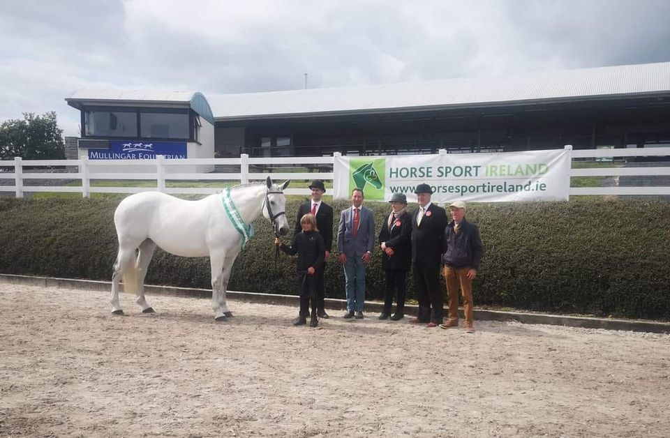 Mullingar Equestrian Showing Show Of the Year 2023