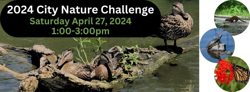 2024 City Nature Challenge