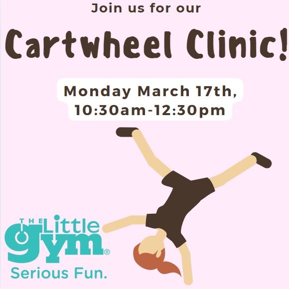 Cartwheel Clinic at The Little Gym of Otsego!