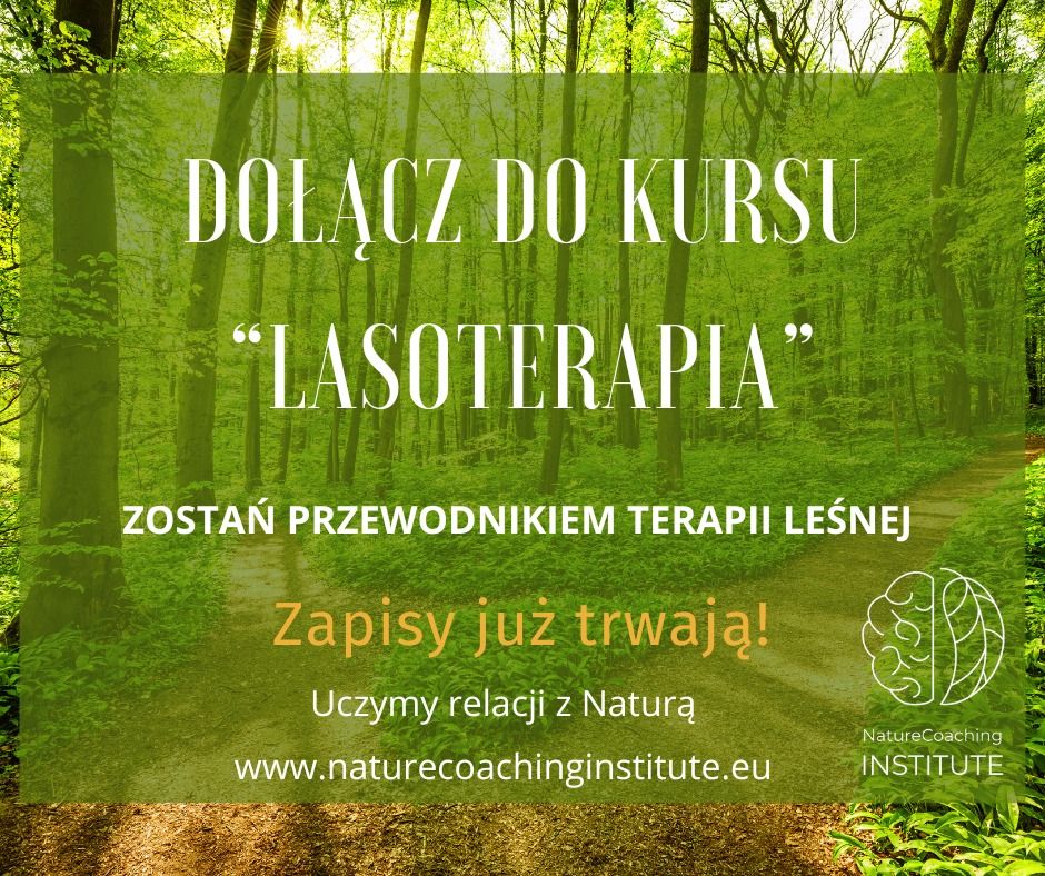 Lasoterapia - kurs certyfikuj\u0105cy przewodnik\u00f3w terapii le\u015bnej.